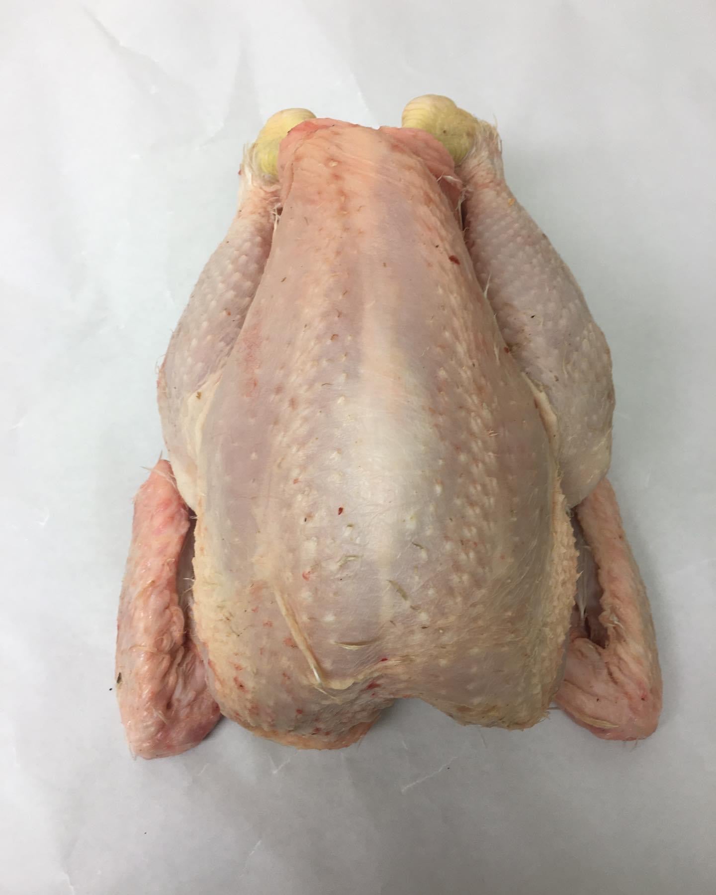 Free Range Chicken 1.5 - 2 kilo