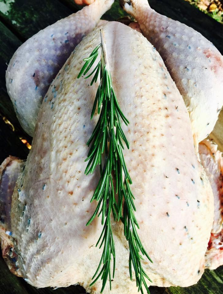 Free Range Bronze Turkey 7.6 - 8 kilo – St Bride's Free Range Poultry